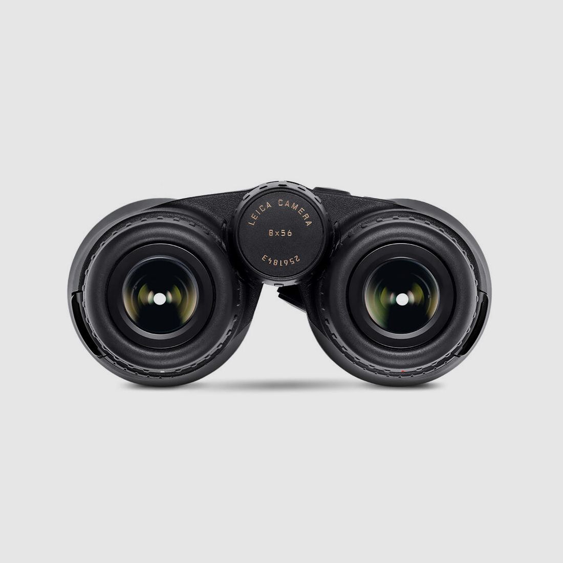 Leica Geovid R 8x56
