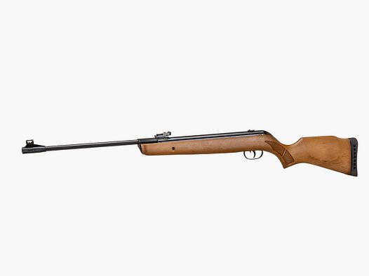 GAMO BIG CAT HUNTER