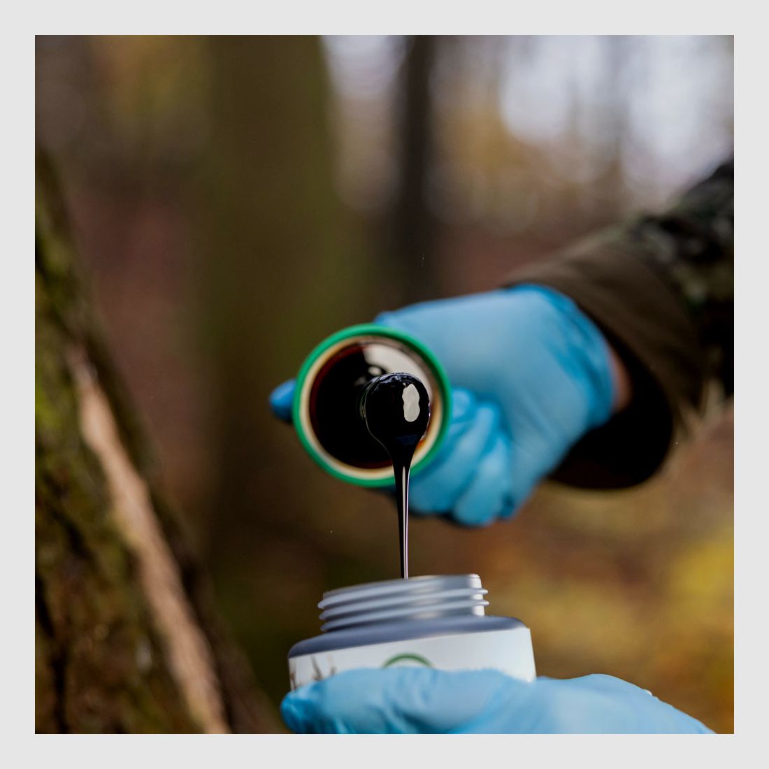 EUROHUNT Buchenharz 500 g mit Pinsel - Lockmittel für Wildschwein und Hirsch, Bild 5 von 8