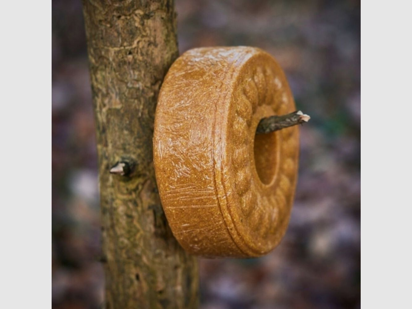 Wildlutscher Leckstein Anis, Bild 4 von 5