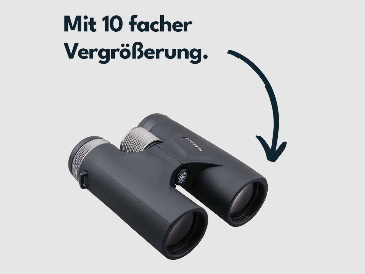 Vector Optics SCBO-04 Paragon 10x42, image 7 sur 9
