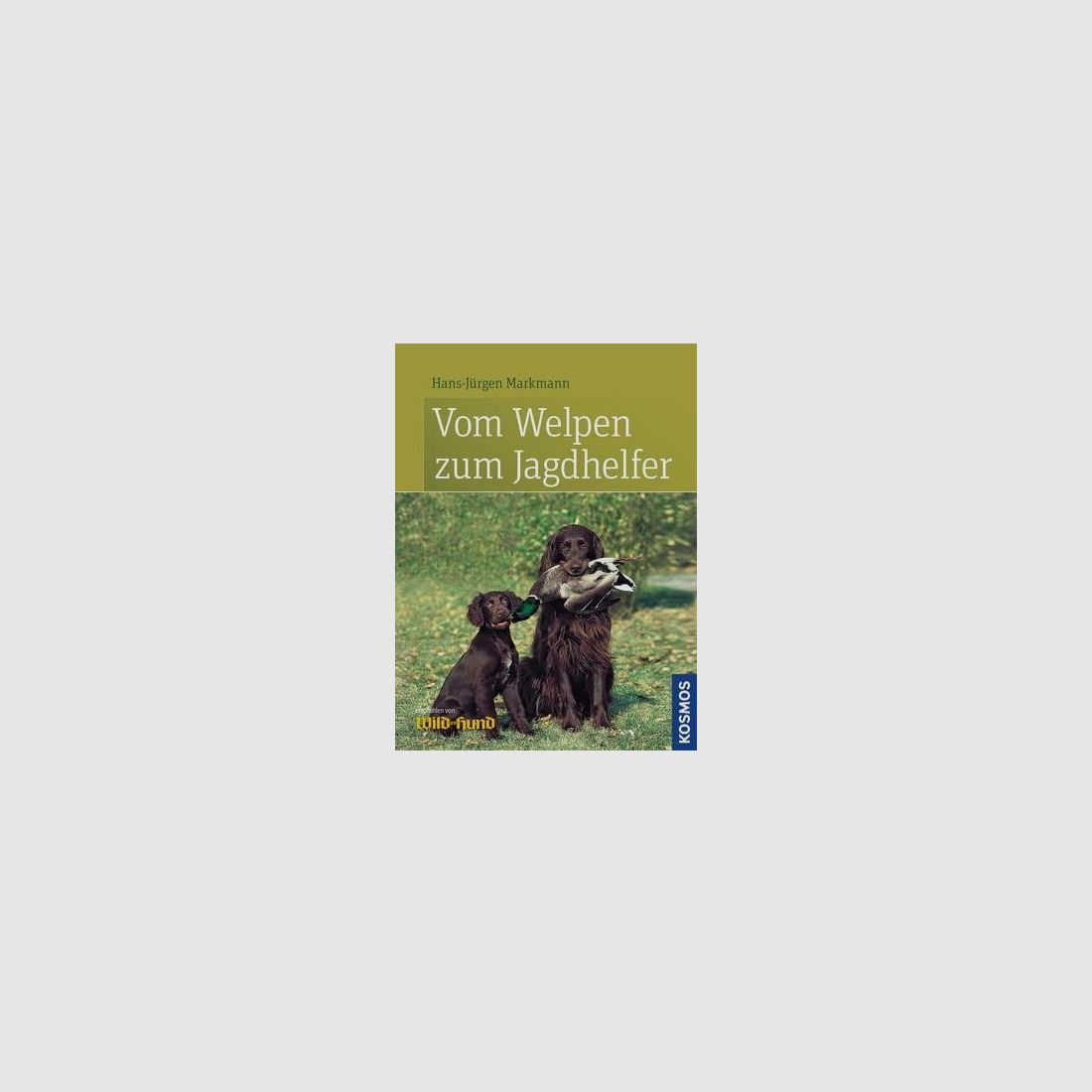 Vom Welpen zum Jagdhelfer