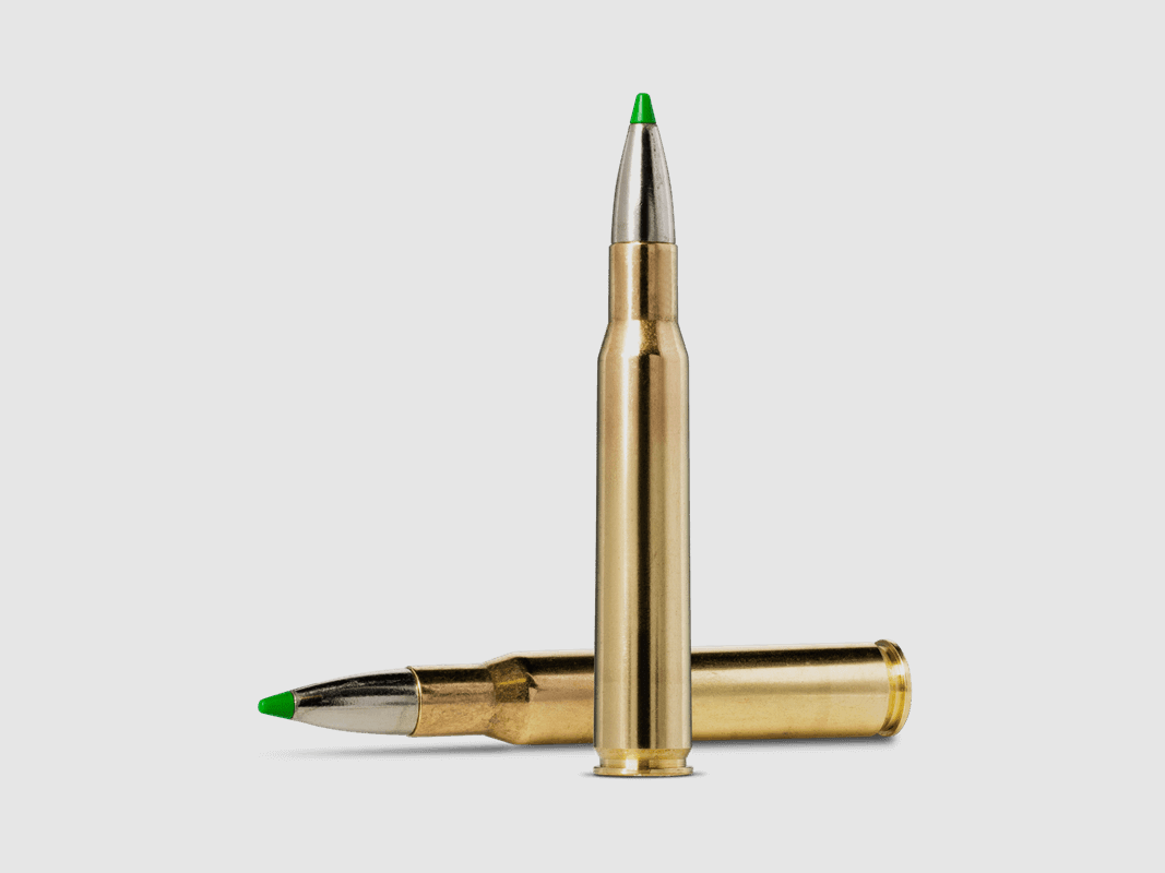 Norma .30-06 ECOSTRIKE 9.7 g 150 gr - 20 pcs