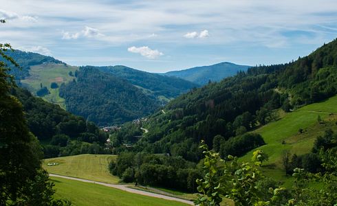 Jagdzeiten Baden-Württemberg