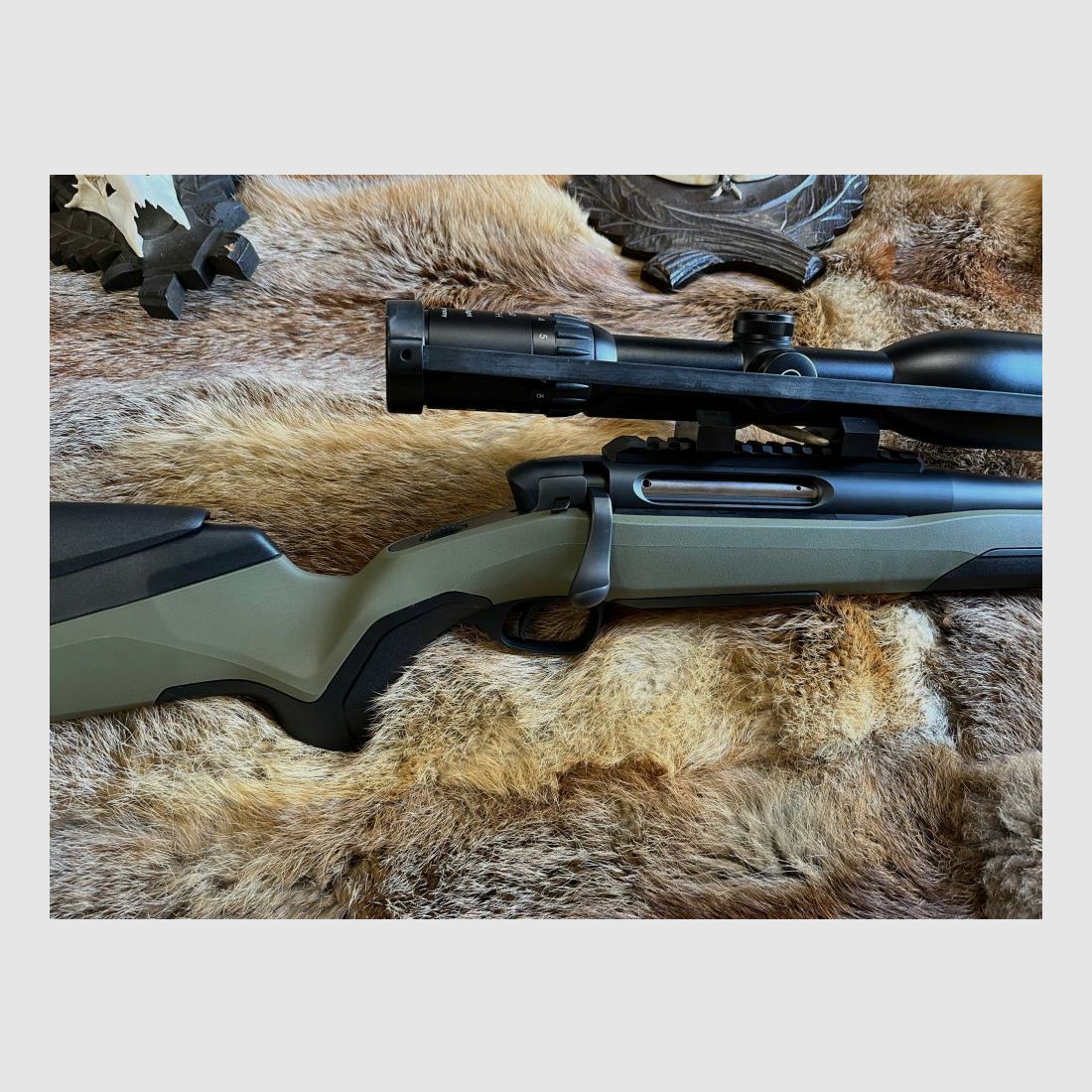 Steyr MS Wild