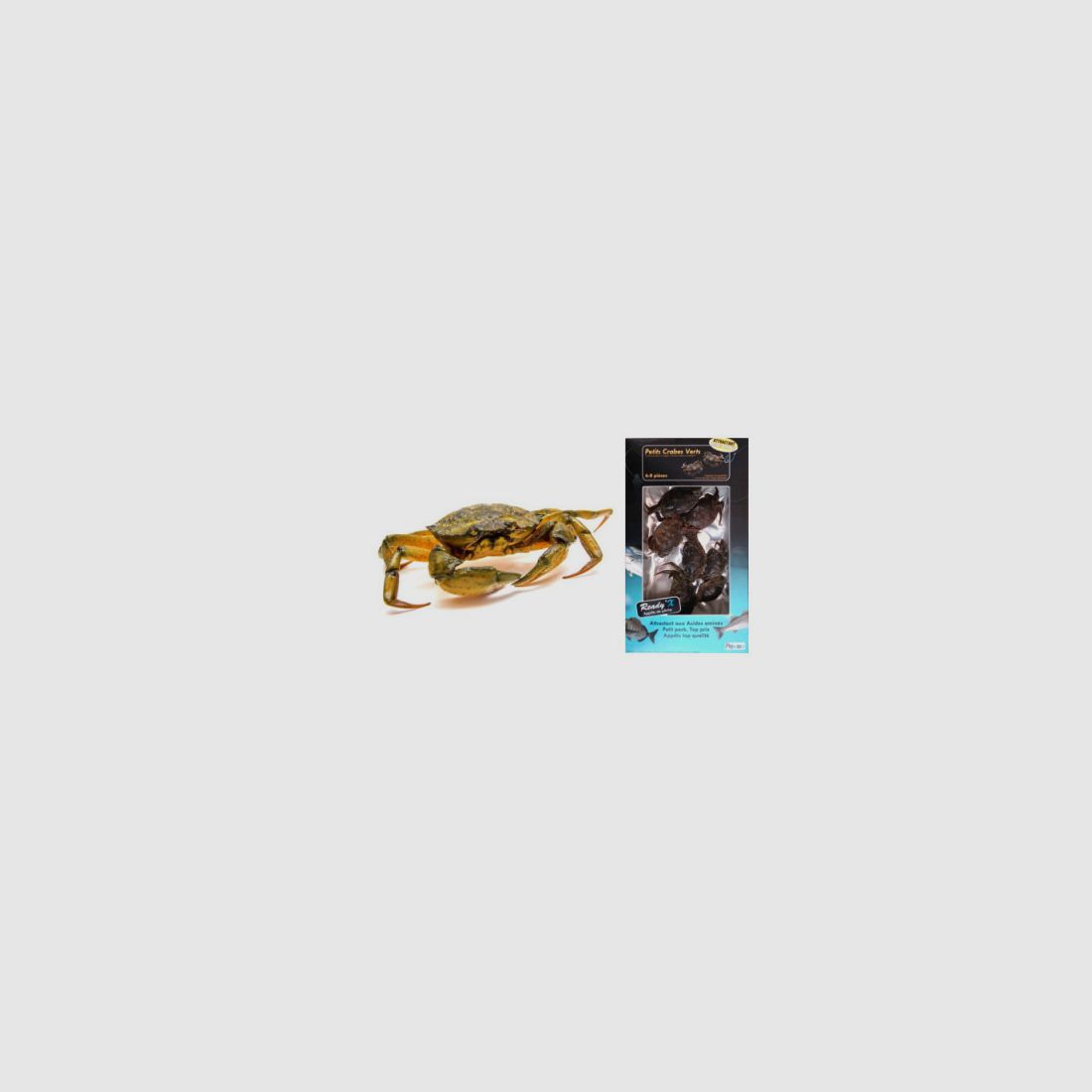 Esche granchi verdi o favouille READYX, immagine 3 di 3