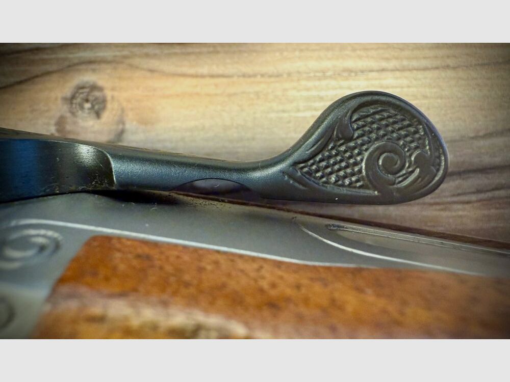 Blaser Forage Blaser