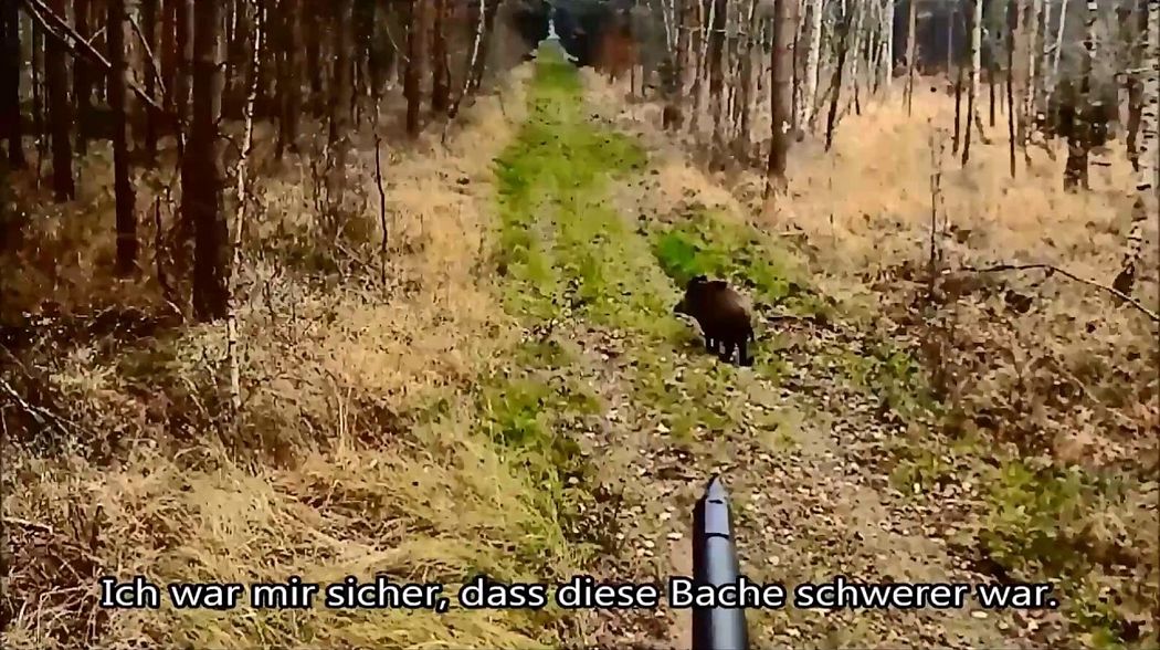 Drückjagd Driven Hunt gesammelte Werke