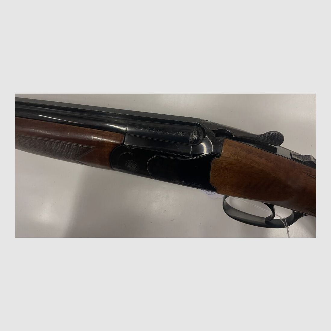 Zoli Ritmo G2