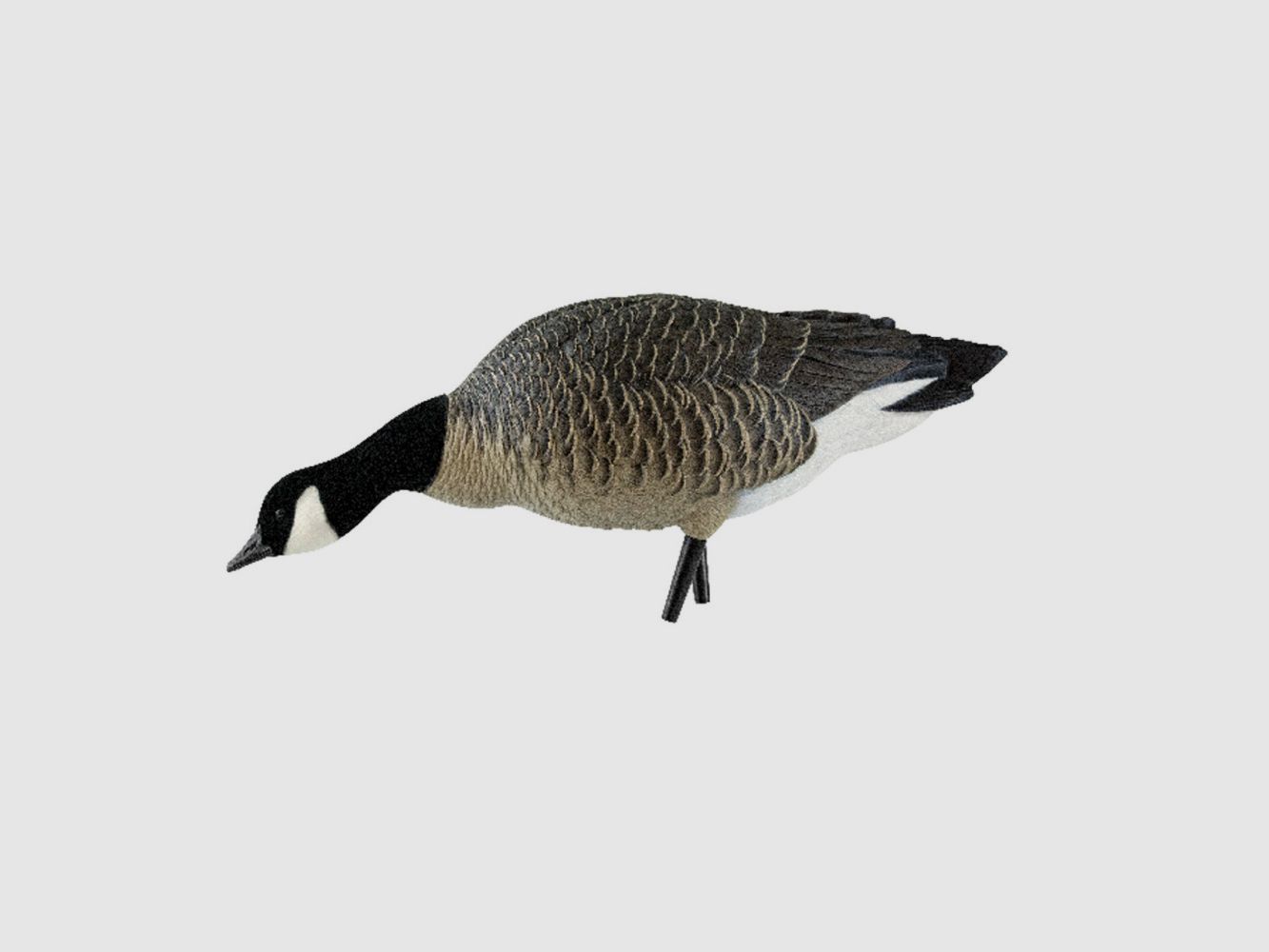 6 Forms of AvianX Full Body Goose, image 4 of 4