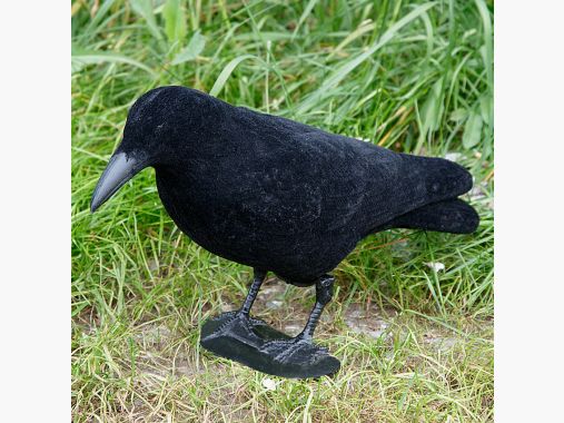 the Lake Passion Raven Crow Full Bowl (flocked) |