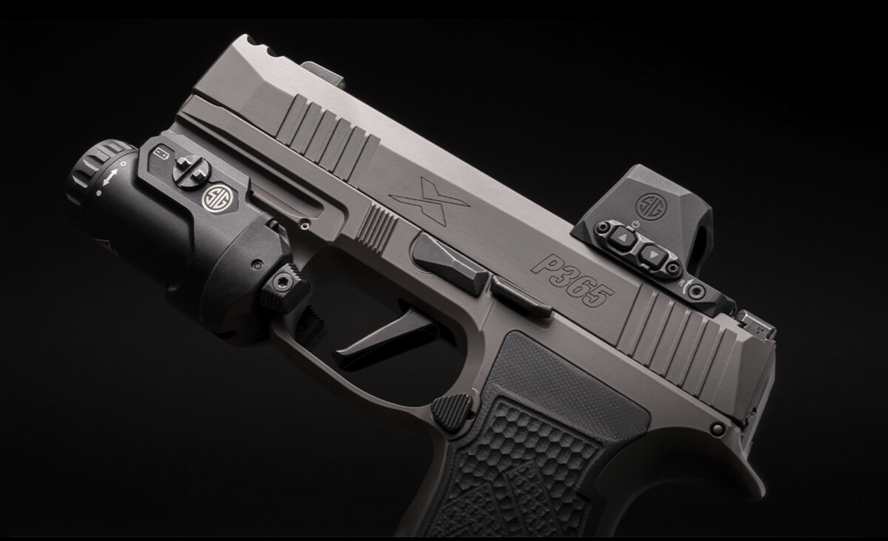 P365 AXG Legion Romeo X Compact, Bild 3 von 4