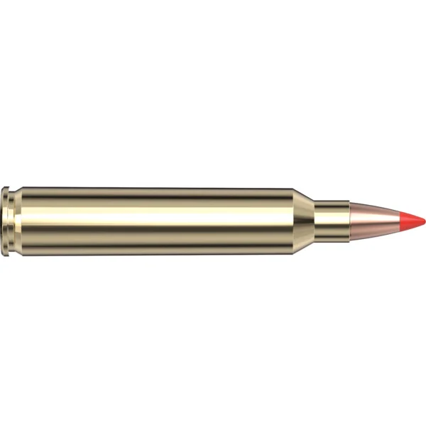 Munizioni Hornady cal.204Ruger V-Max Superformance Varmint 32gr/2,1g (20 pezzi), immagine 2 di 3