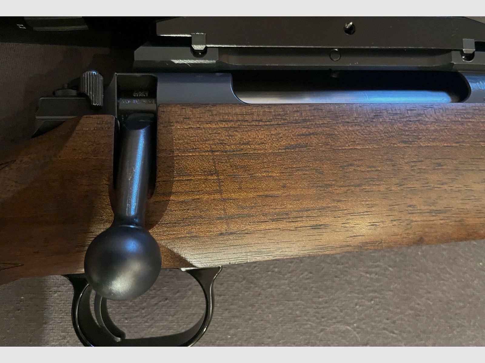 Mauser M12 + Steiner Ranger 4+ ammunition + case