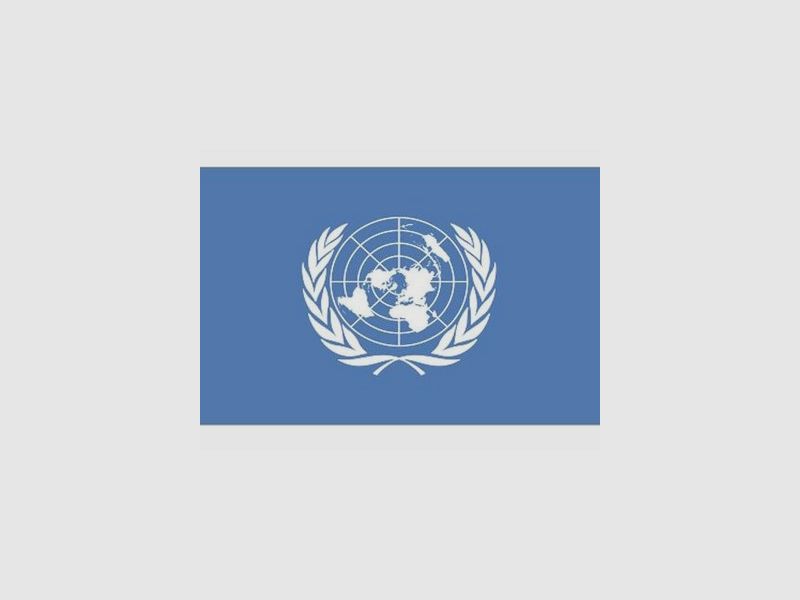 Vlag un, image 3 sur 3