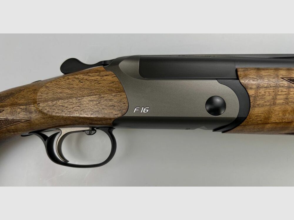 Blaser F16 Game