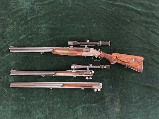 Merkel 313 E