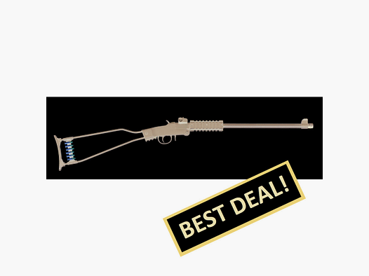 Chiappa Little Badger .22 LR