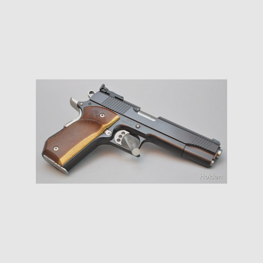 Holden Custom Guns 1911 10mmAuto