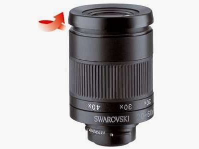 Swarovski Okulare 20-60x