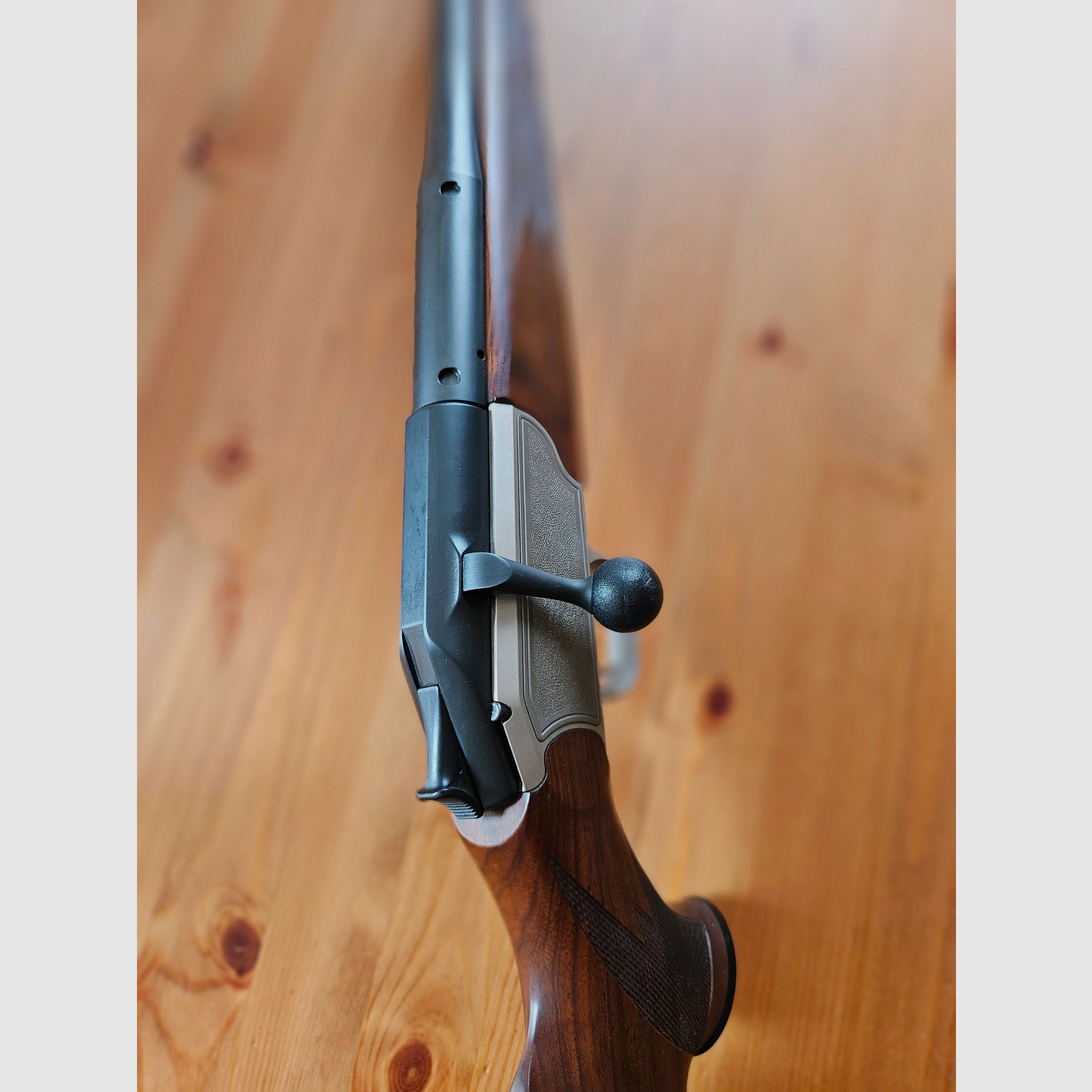 Blaser R93 30-06