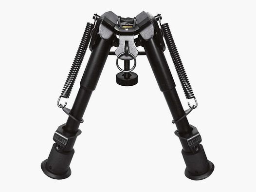 Bipiede 082