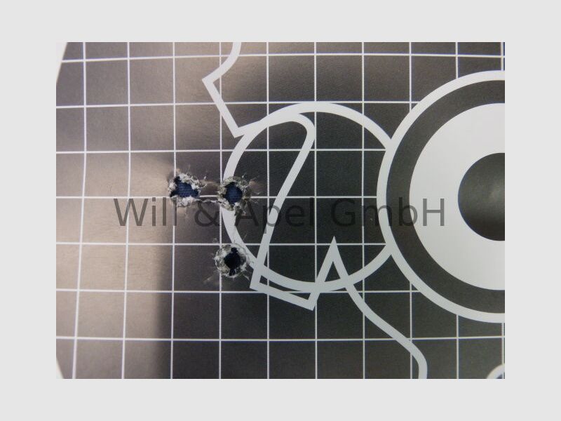 Sauer & Sohn Sauer 90