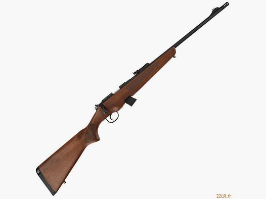 Carabine 22LR Hatsan Bois