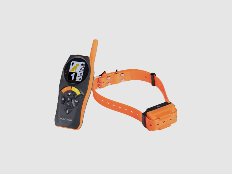 R-800 – CANICOM