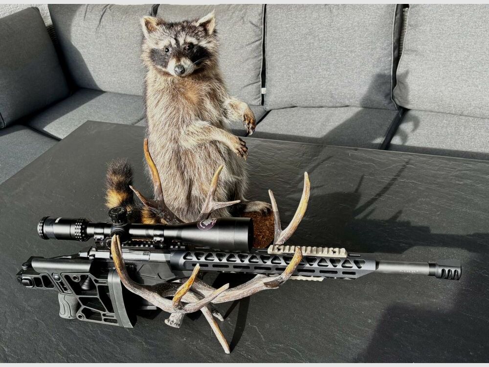 Sabatti ST18 crosse pliante