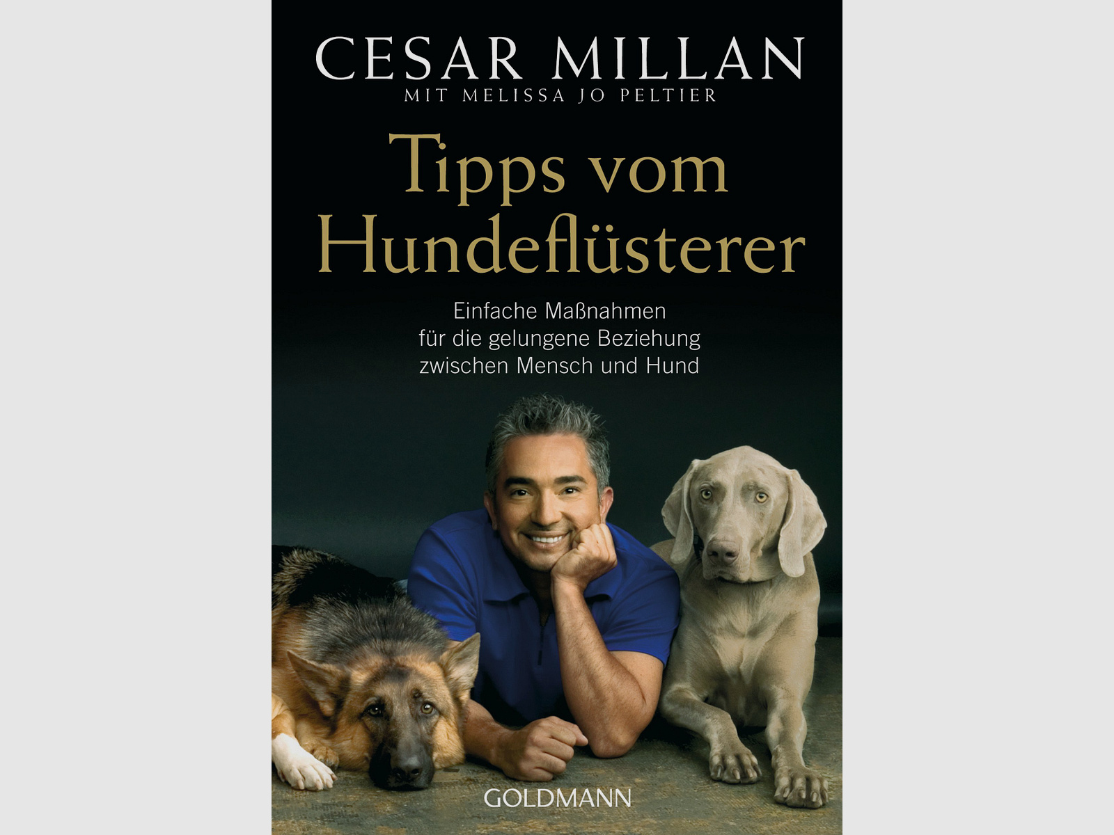 Tipps vom Hundeflsterer Einfache Manahmen fr die gelungene Beziehung zwischen Mensch und Hund