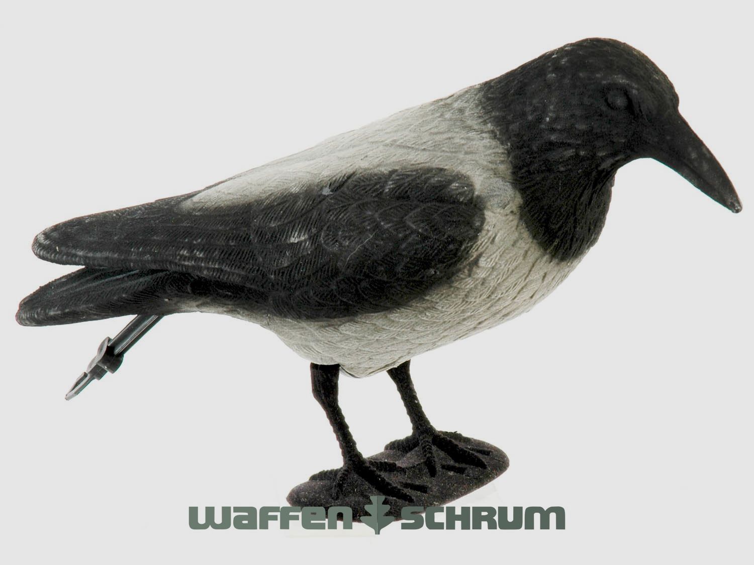 Vollkörper-Lockkrähe beflockt Nebelkrähe