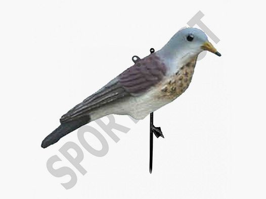 Cesena posata SPORT PLAST