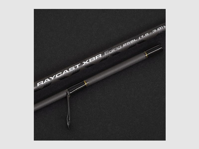 RUTE RAYCAST XBR EGING EVOLUTION 2,58M CINNETIC, Bild 3 von 3