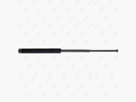 Teleskopschlagstock WALTHER PROSECUR TDB25