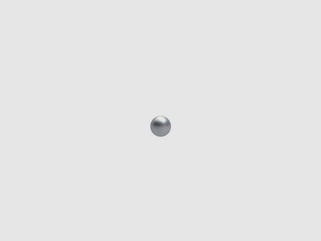 MOULE A BALLES LEE PRECISION 2 CAVITES BALL 575