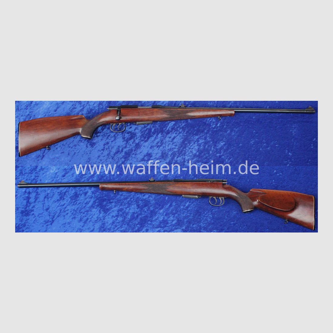 Anschütz