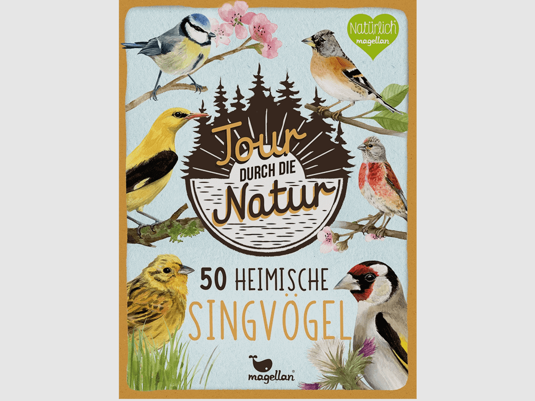 Karten-Spiel "Tour durch die Natur - Heimische Singvögel"