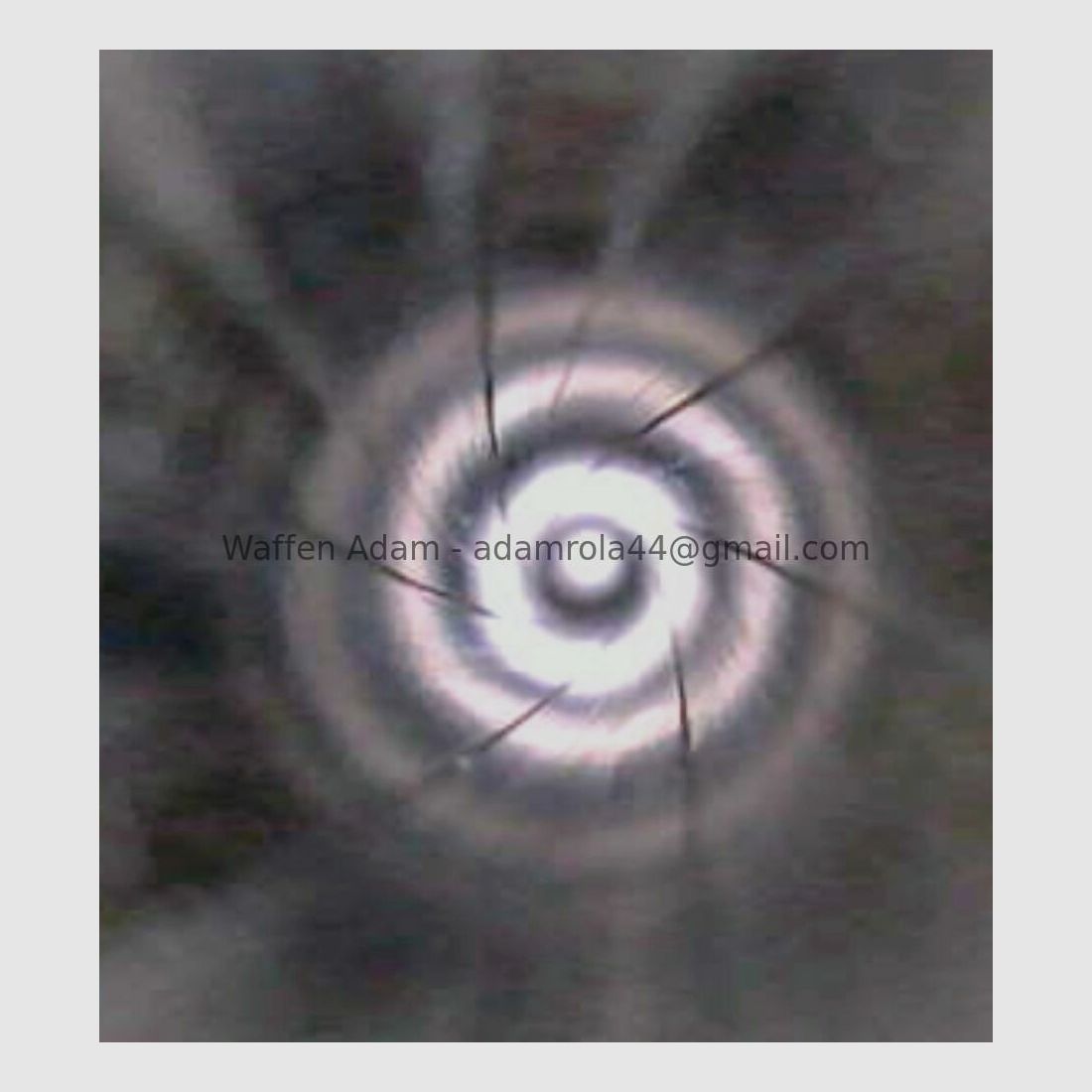 Smith & Wesson Modell 41 Sport 1965