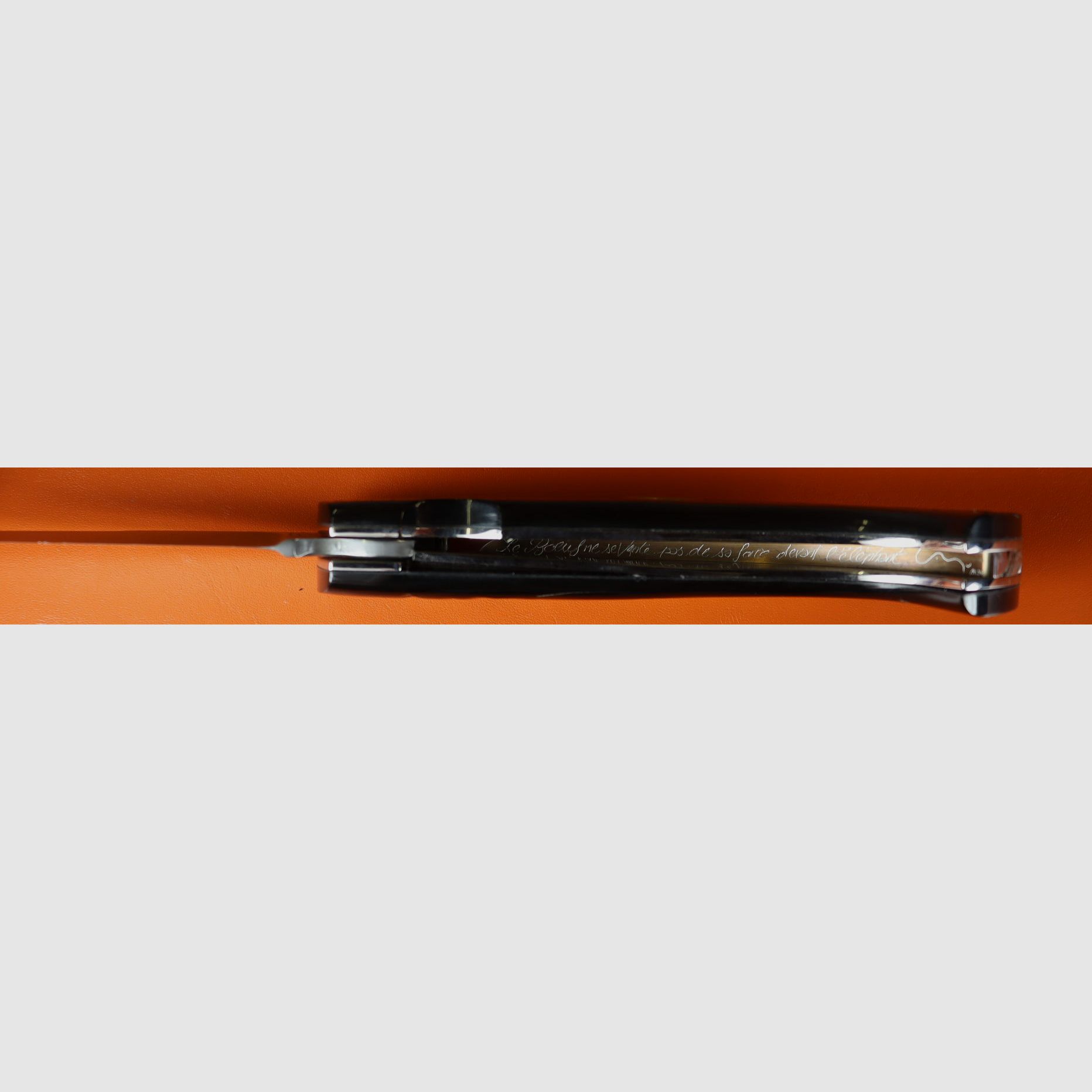Cuchillo de cuerno de búfalo con inserto de funda, imagen 4 de 5