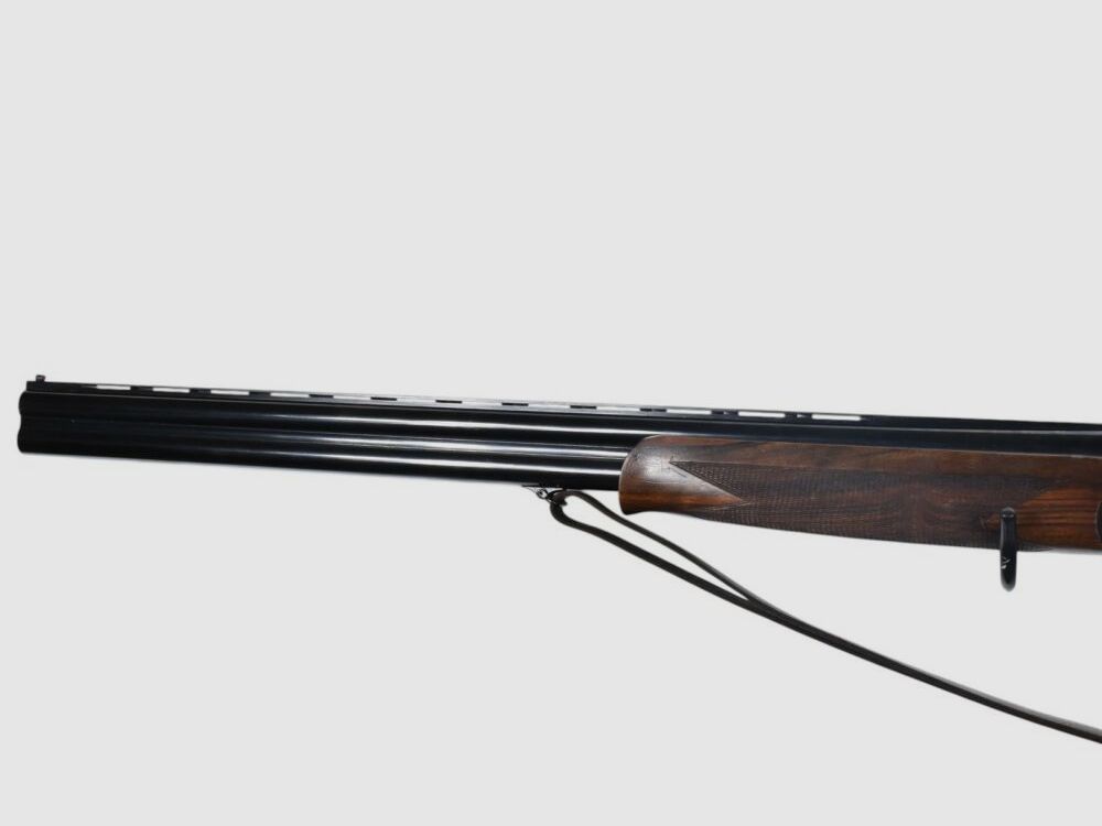 Rottweil 700