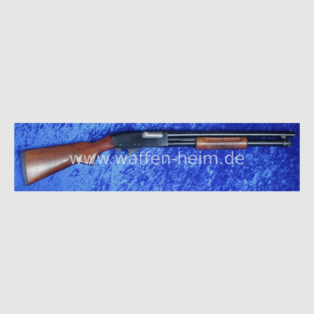 CBC 586 - P