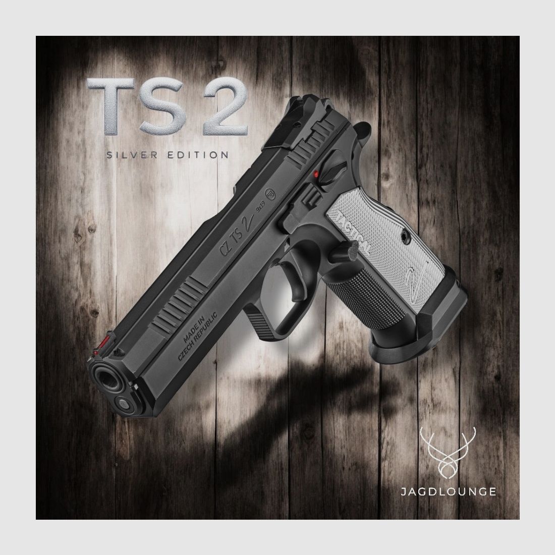 CZ TS Silver "Precio especial