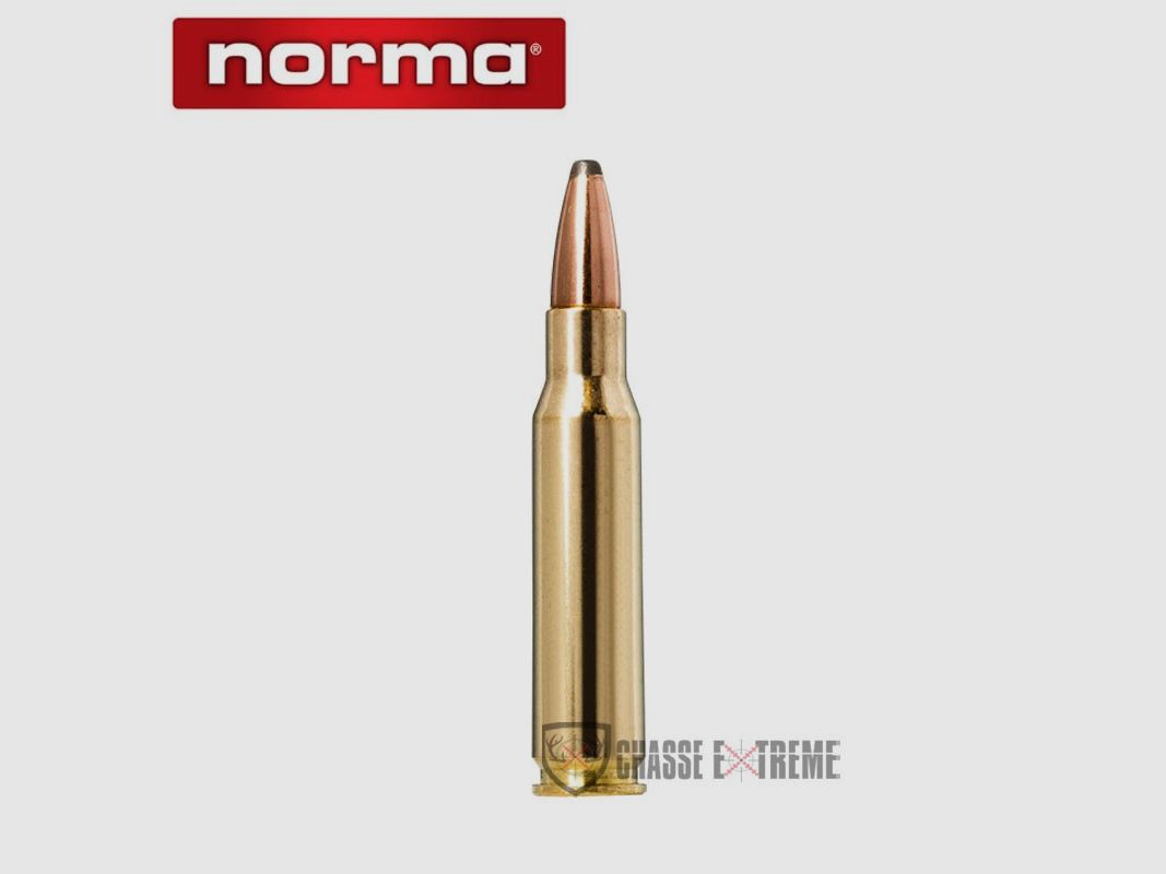 20 Cartucce NORMA cal. 308 Win 150gr Whitetail