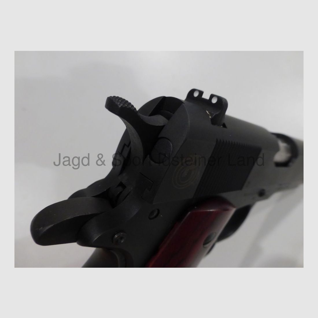 Para Ordonance 1911 "100th Anniversary" SA