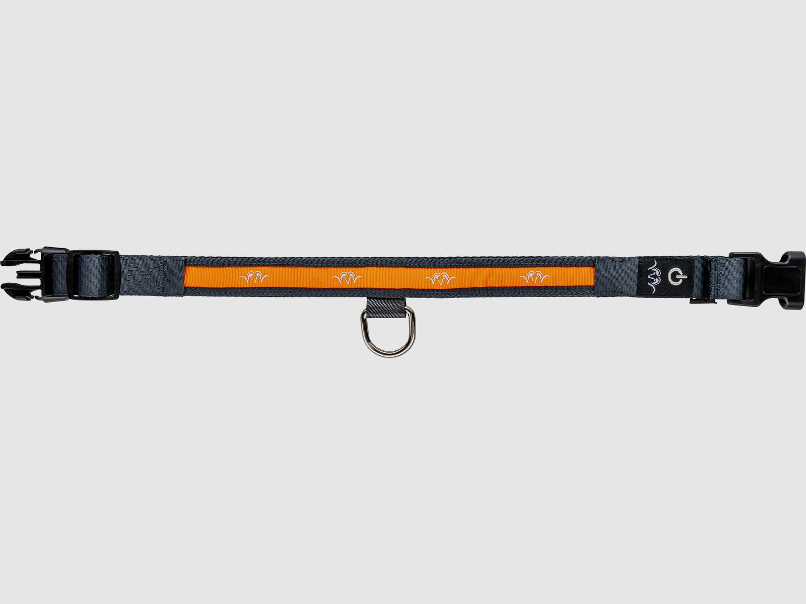 Blaser LED Halsband orange