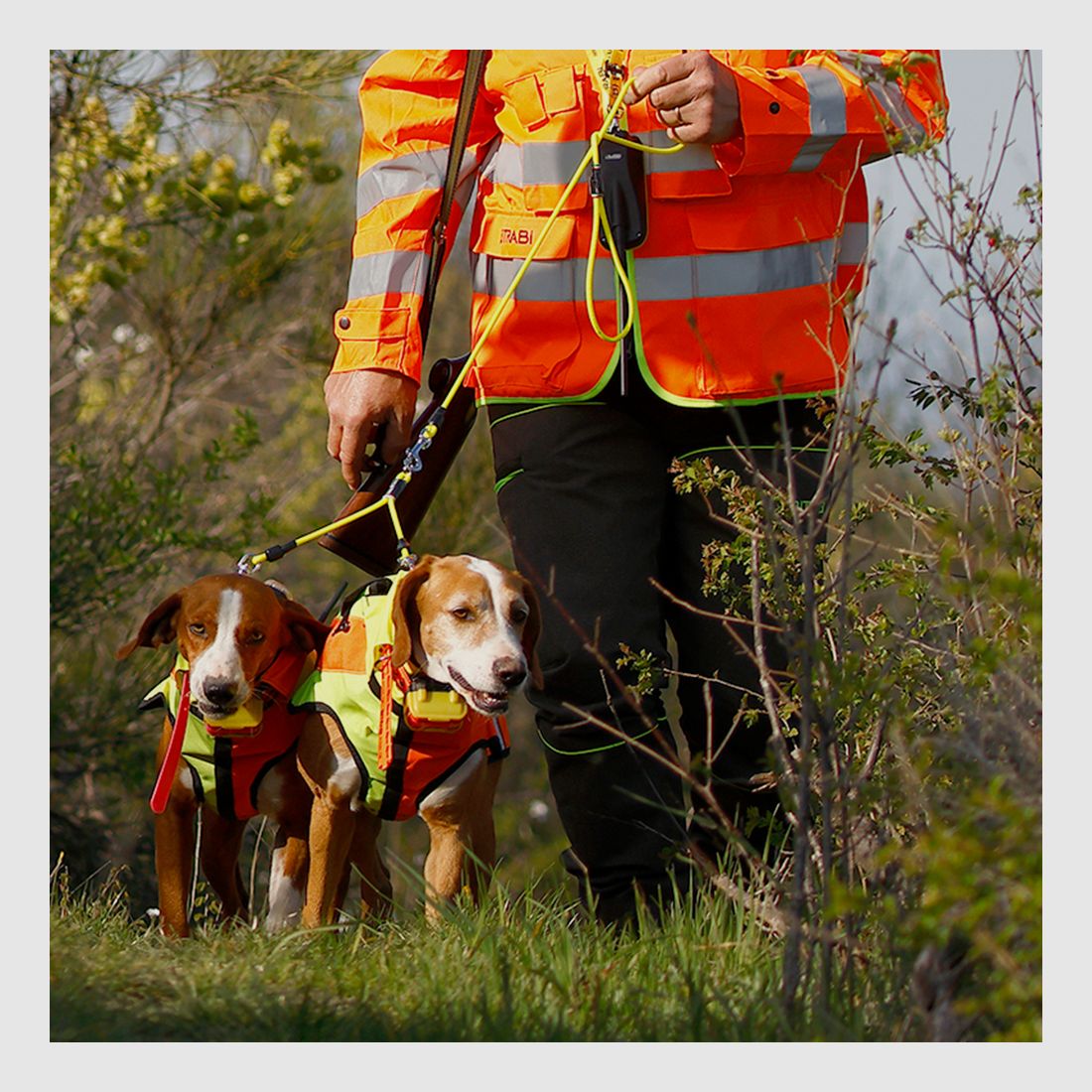 Schutzweste für Hunde Sicur Dog BITRABI m, Bild 6 von 7