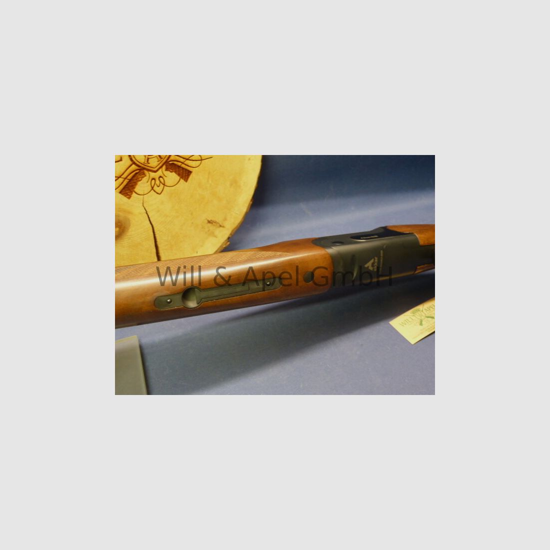 Akkar Churchill Lady Black