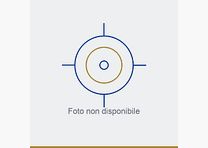 RWS CARICHE FLOBERT C 6MM ROUND