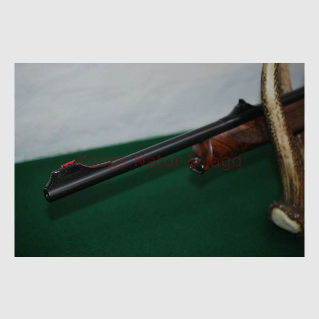 Sauer	 303